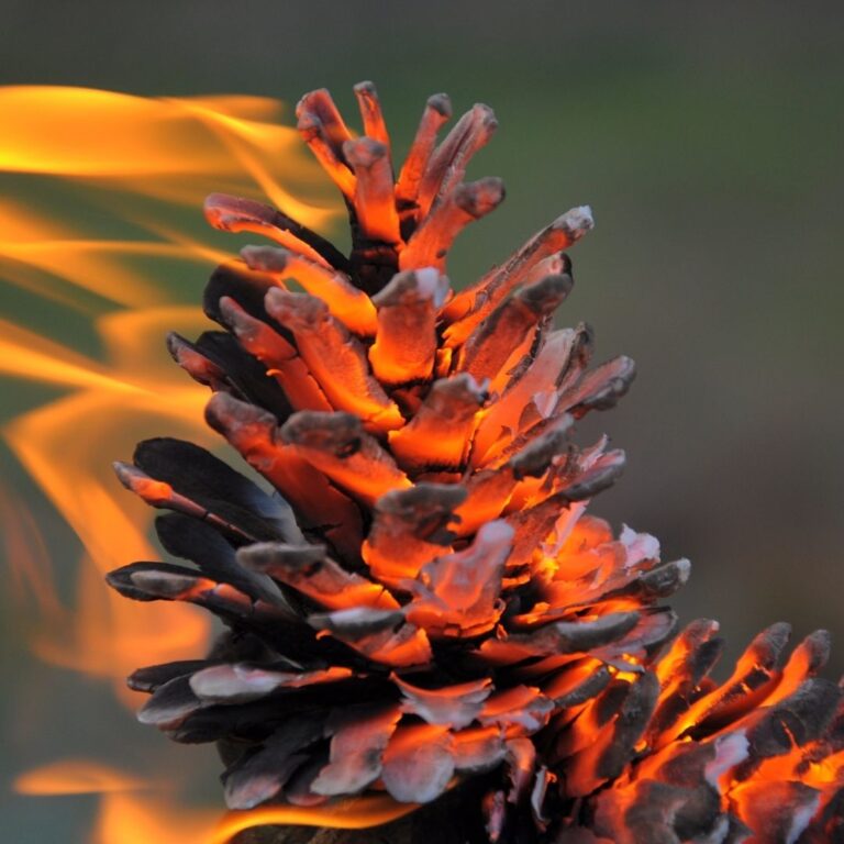 Üst Kurmaca: Tanrı buna neden izin veriyor?