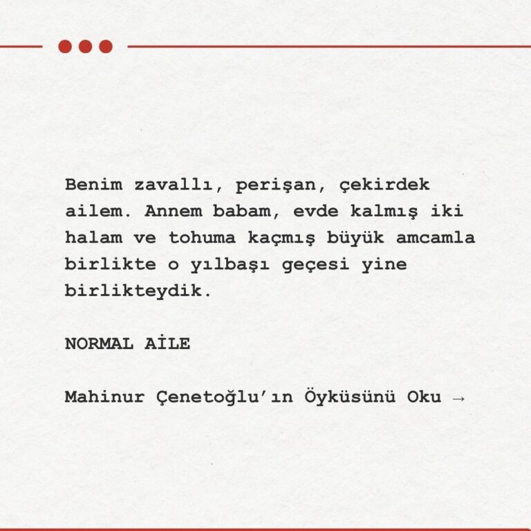 NORMAL AİLE