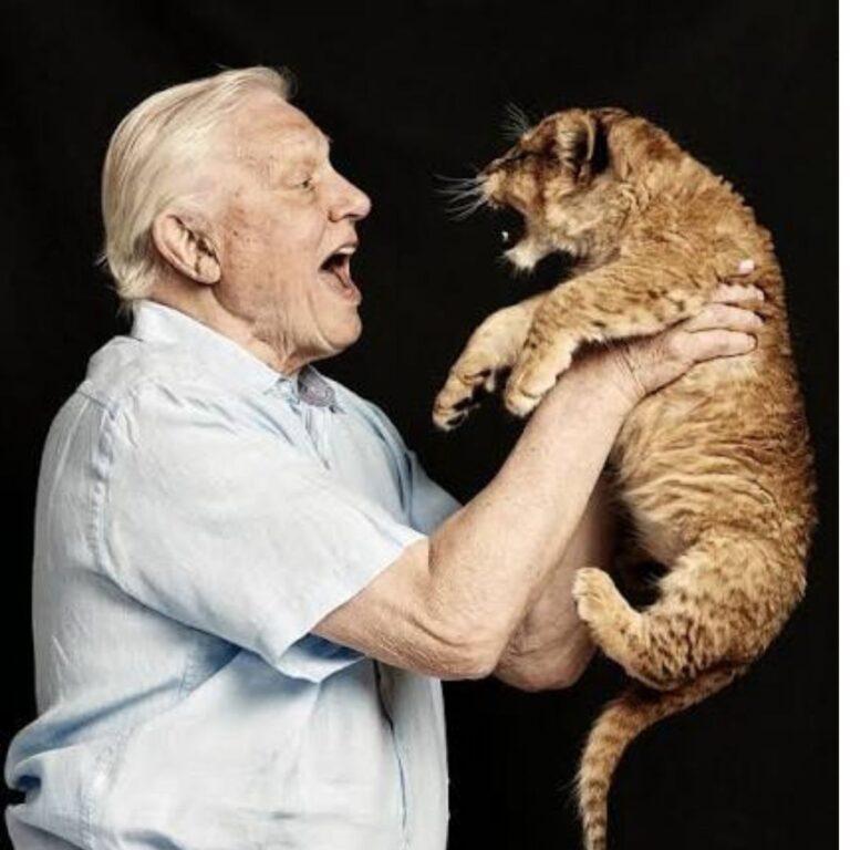 100 Yıllık Bir Ses: David Attenborough