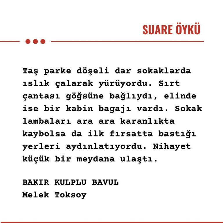 BAKIR KULPLU BAVUL