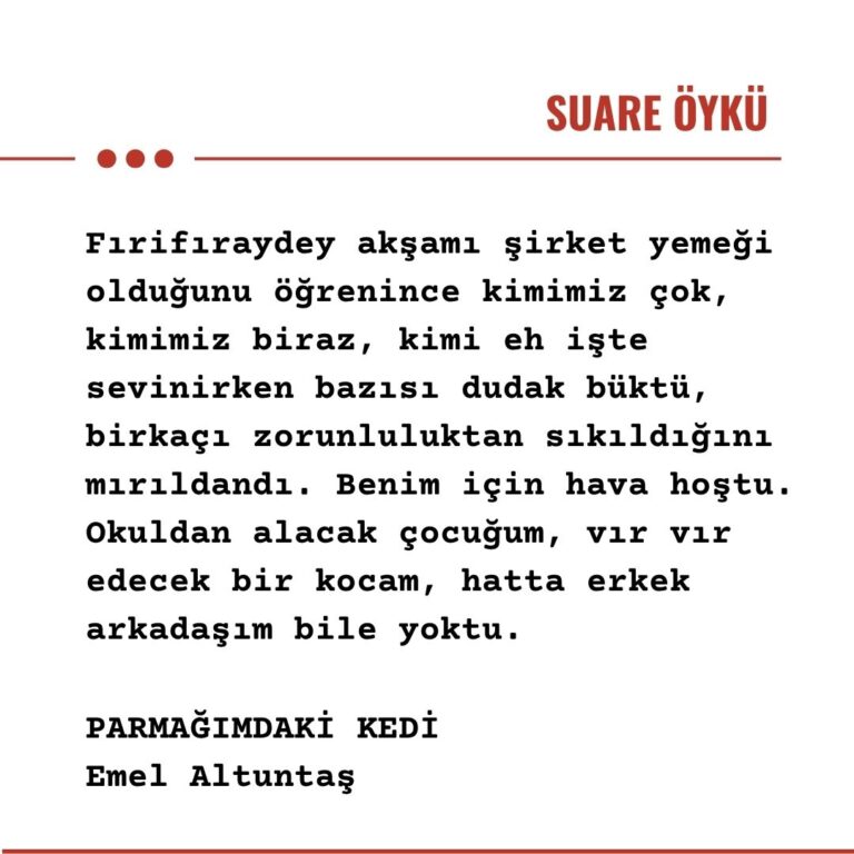 PARMAĞIMDAKİ KEDİ
