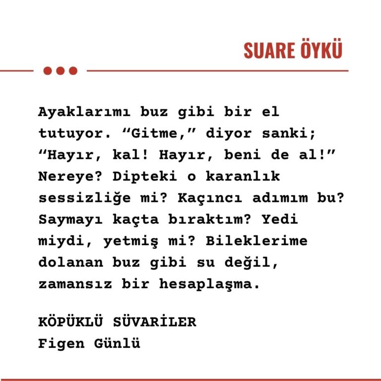 KÖPÜKLÜ SÜVARİLER