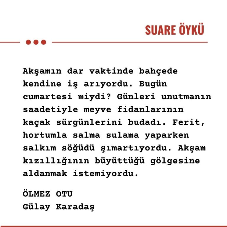 ÖLMEZ OTU