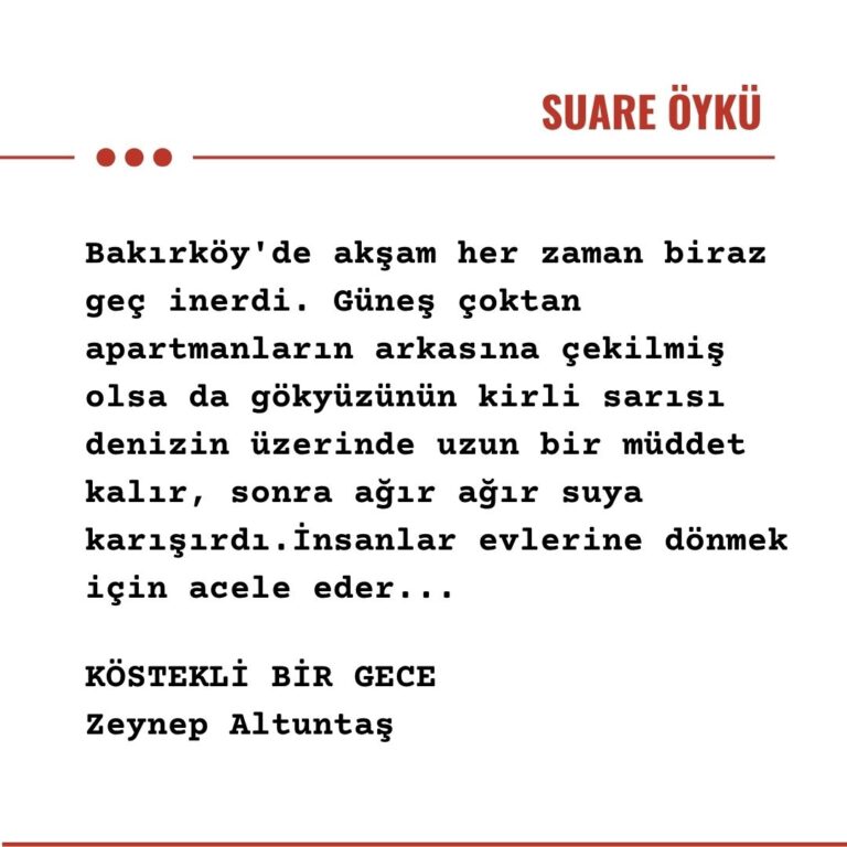KÖSTEKLİ BİR GECE